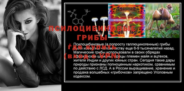 прущая мука Верея