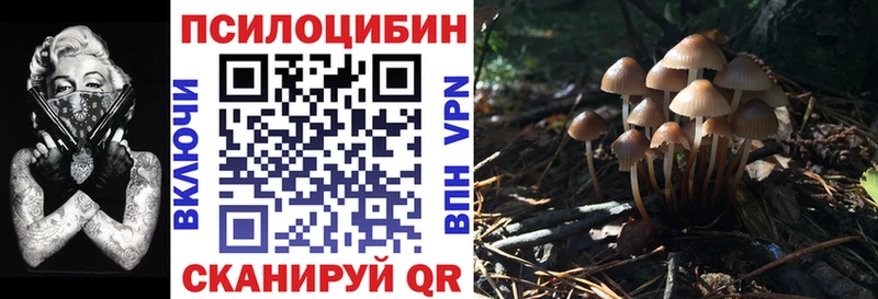 Галлюциногенные грибы ЛСД  как найти наркотики  Димитровград 