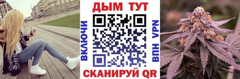 Конопля план Димитровград